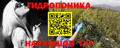 круглые Гусев