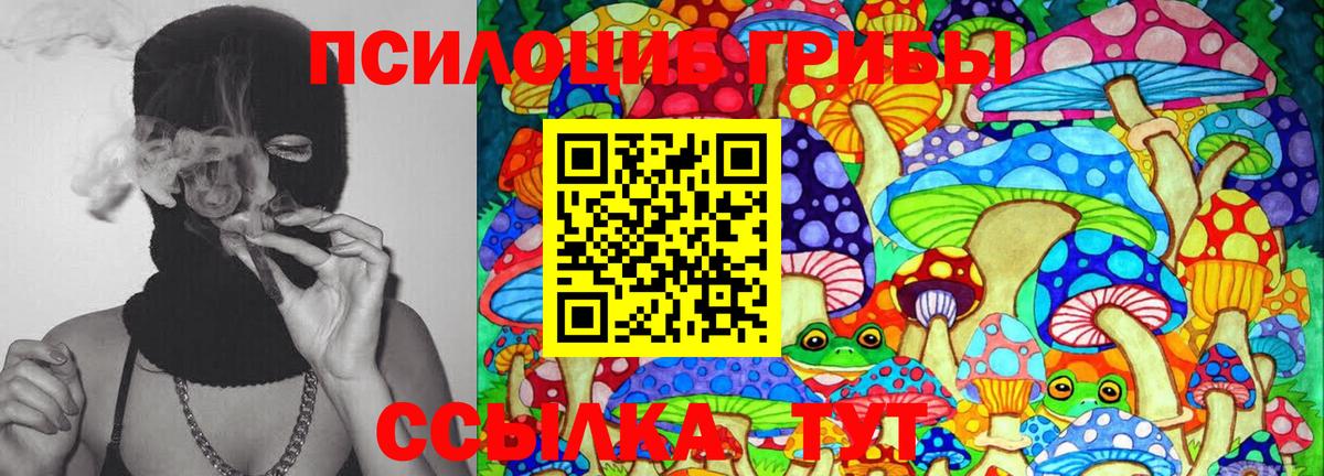 Галлюциногенные грибы Cubensis  Вход с VPN  Нарткала 